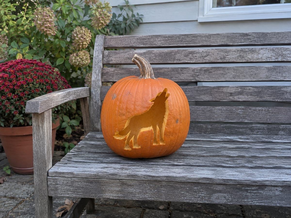 Howling Wolf Cutout Pumpkin for the Front Porch