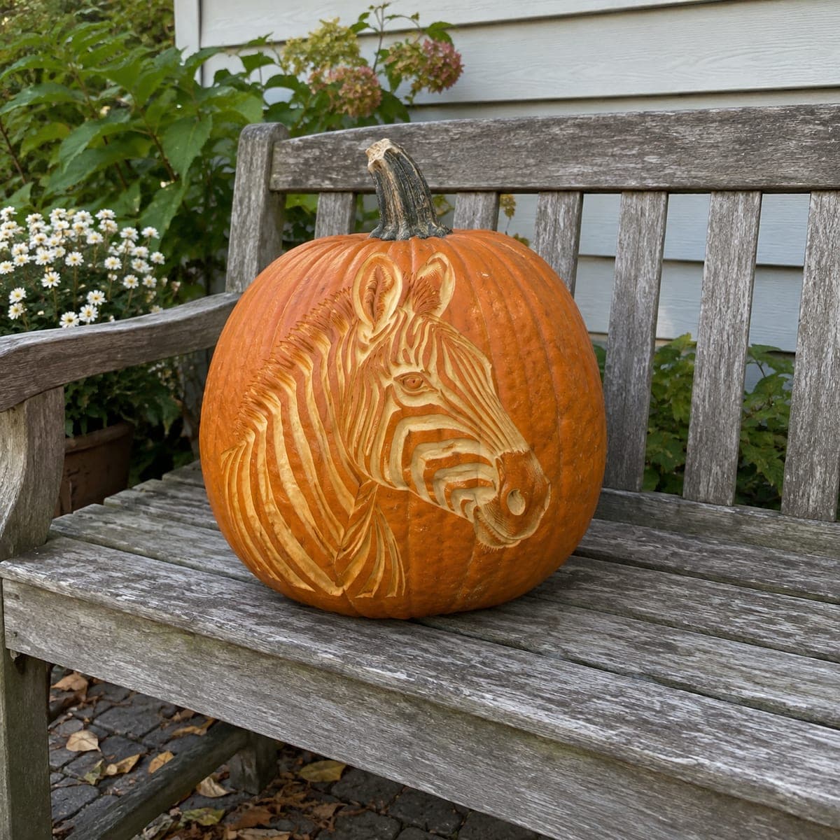 Zebra Head Etched Pumpkin With Flowing Mane