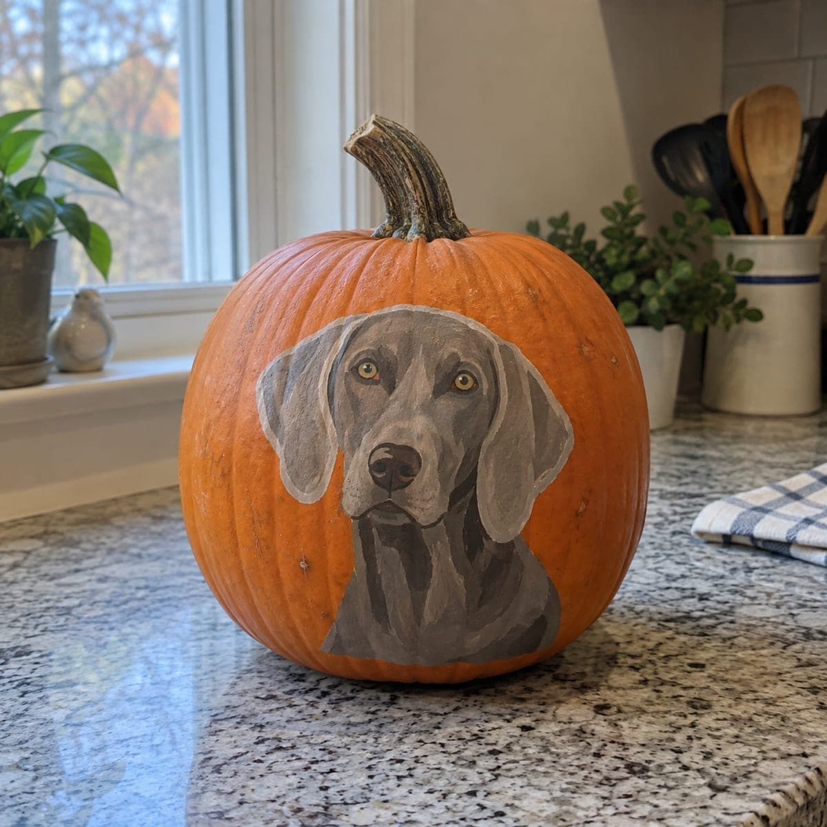 Painted Weimaraner Dog Portrait Pumpkin
