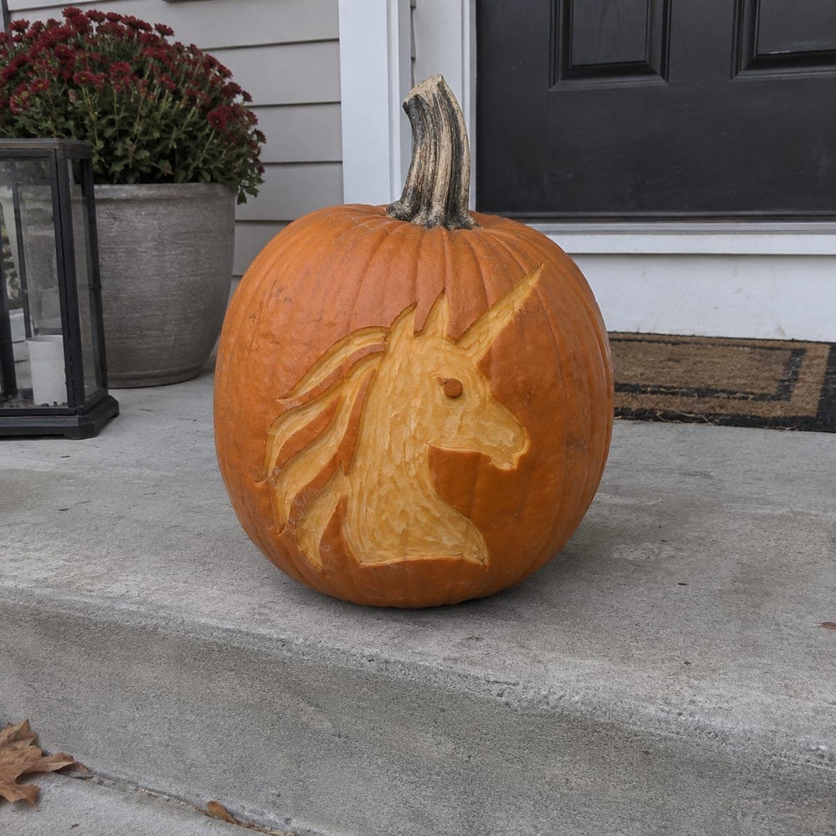 Unicorn Head Etched Pumpkin for Daytime Display