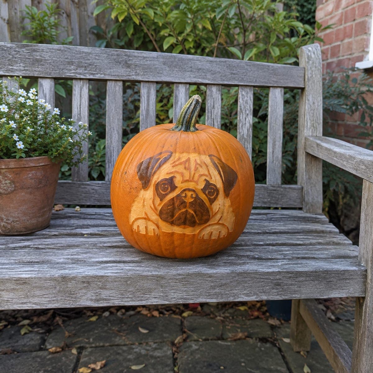 Sweet Pug Puppy Etched Pumpkin Portrait