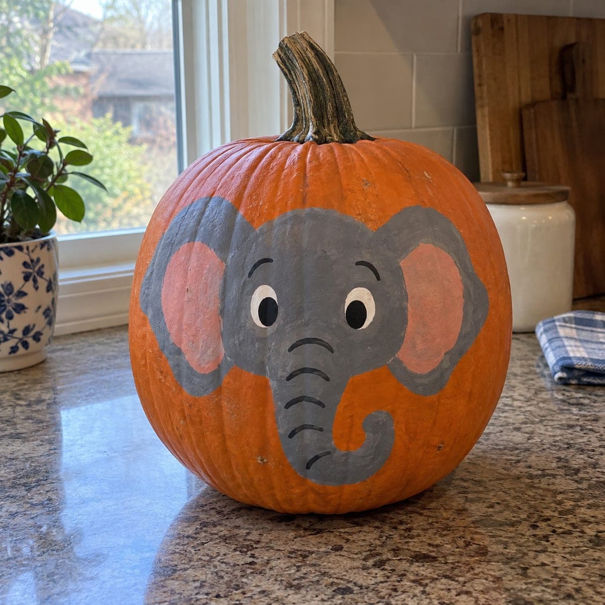 Cute Painted Elephant Face No-Carve Pumpkin