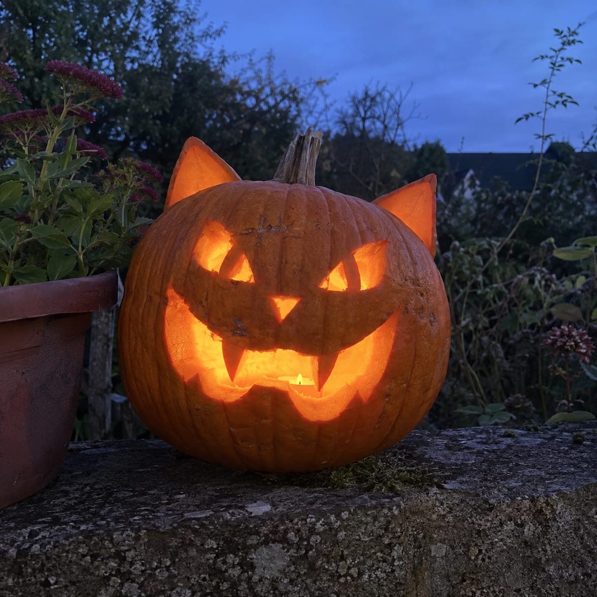 Cat Jack-O-Lantern With Pointed Ears