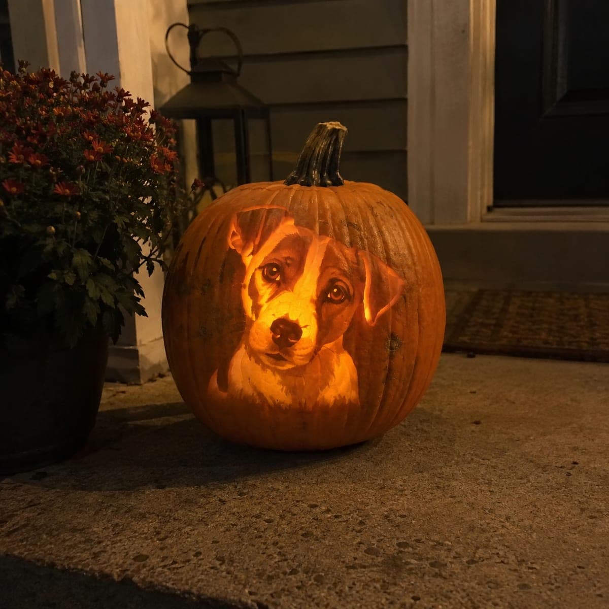 Jack Russell Puppy Portrait Pumpkin Carving