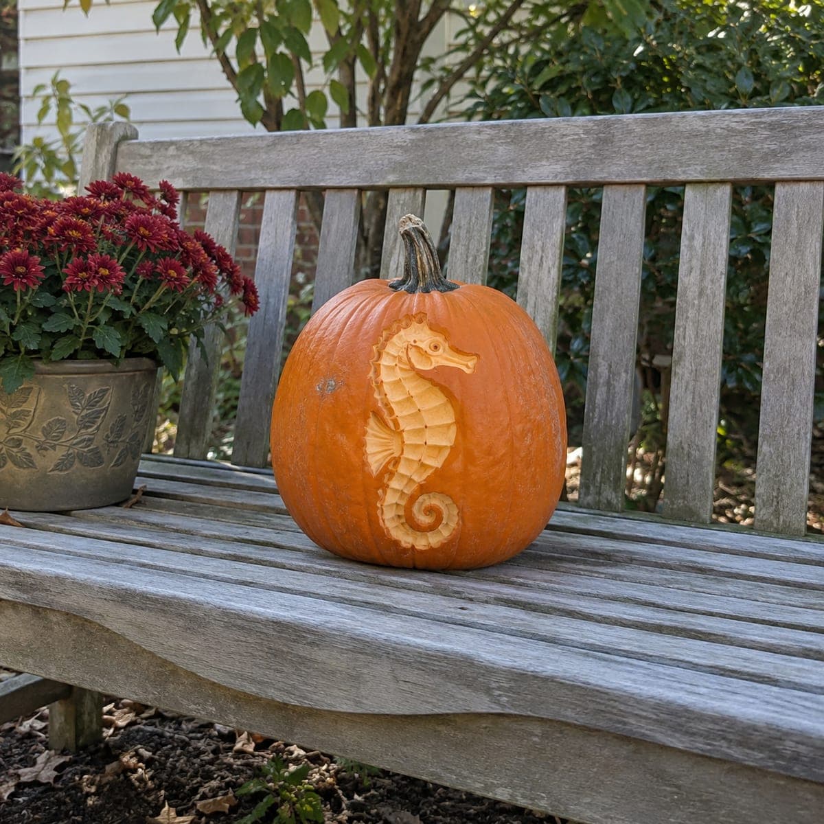 Seahorse Relief Carved Pumpkin for Coastal Fall Decor