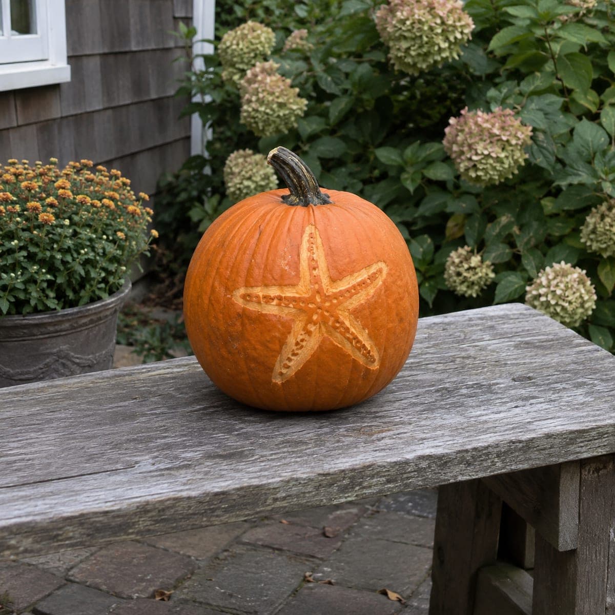 Simple Starfish Etched Coastal Pumpkin