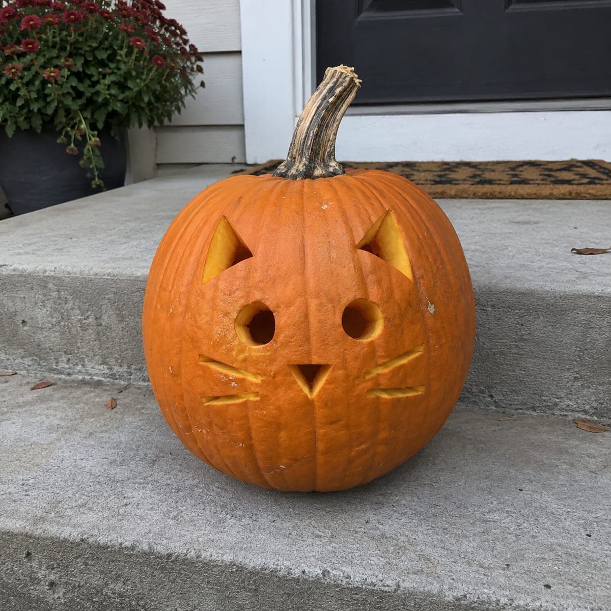Simple Cat Face Jack-O-Lantern With Whiskers