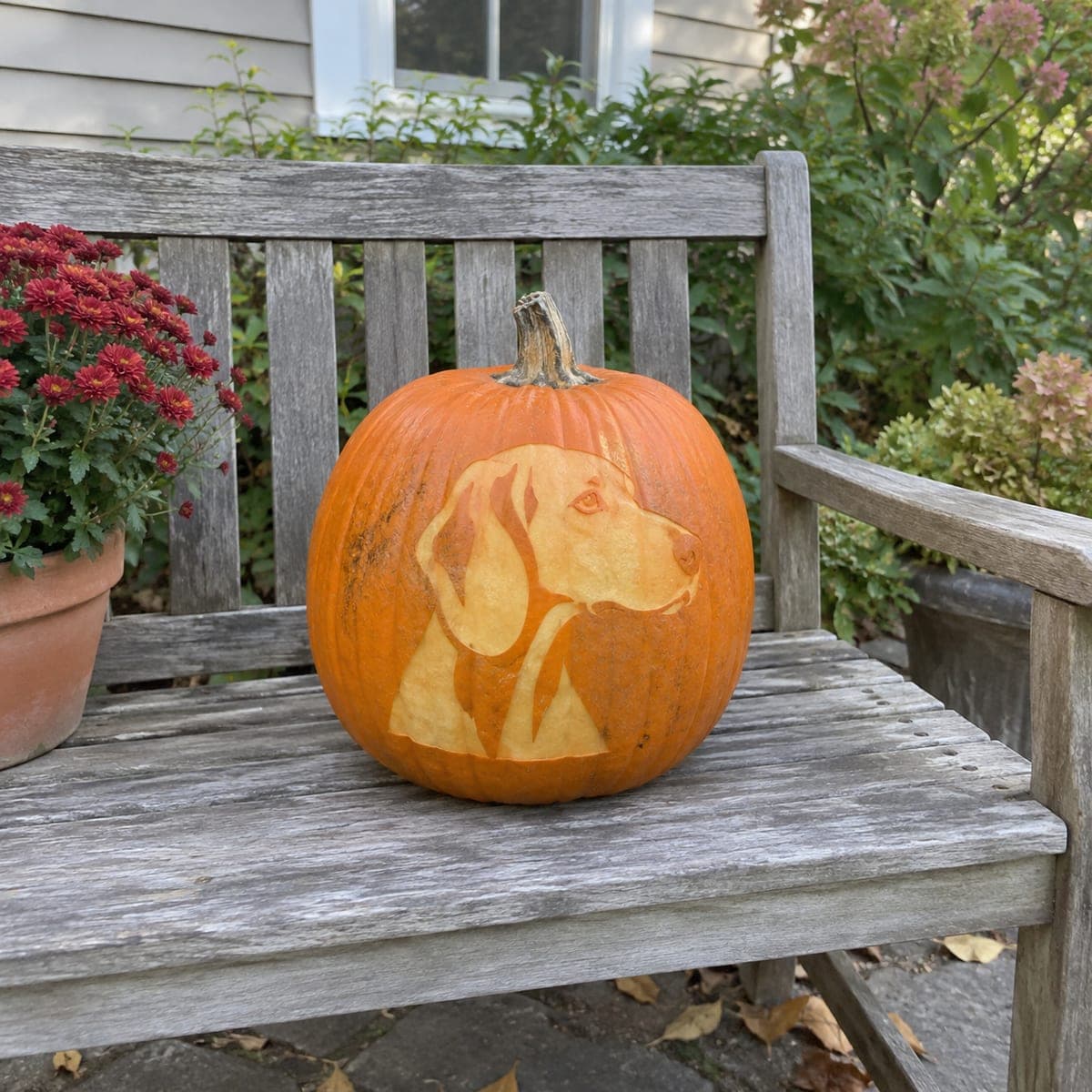 Vizsla Head Profile Etched Pumpkin Portrait