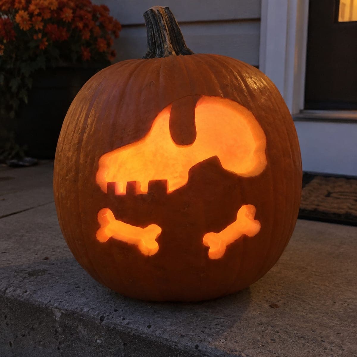 Dinosaur Fossil Skull and Bones Jack-O-Lantern