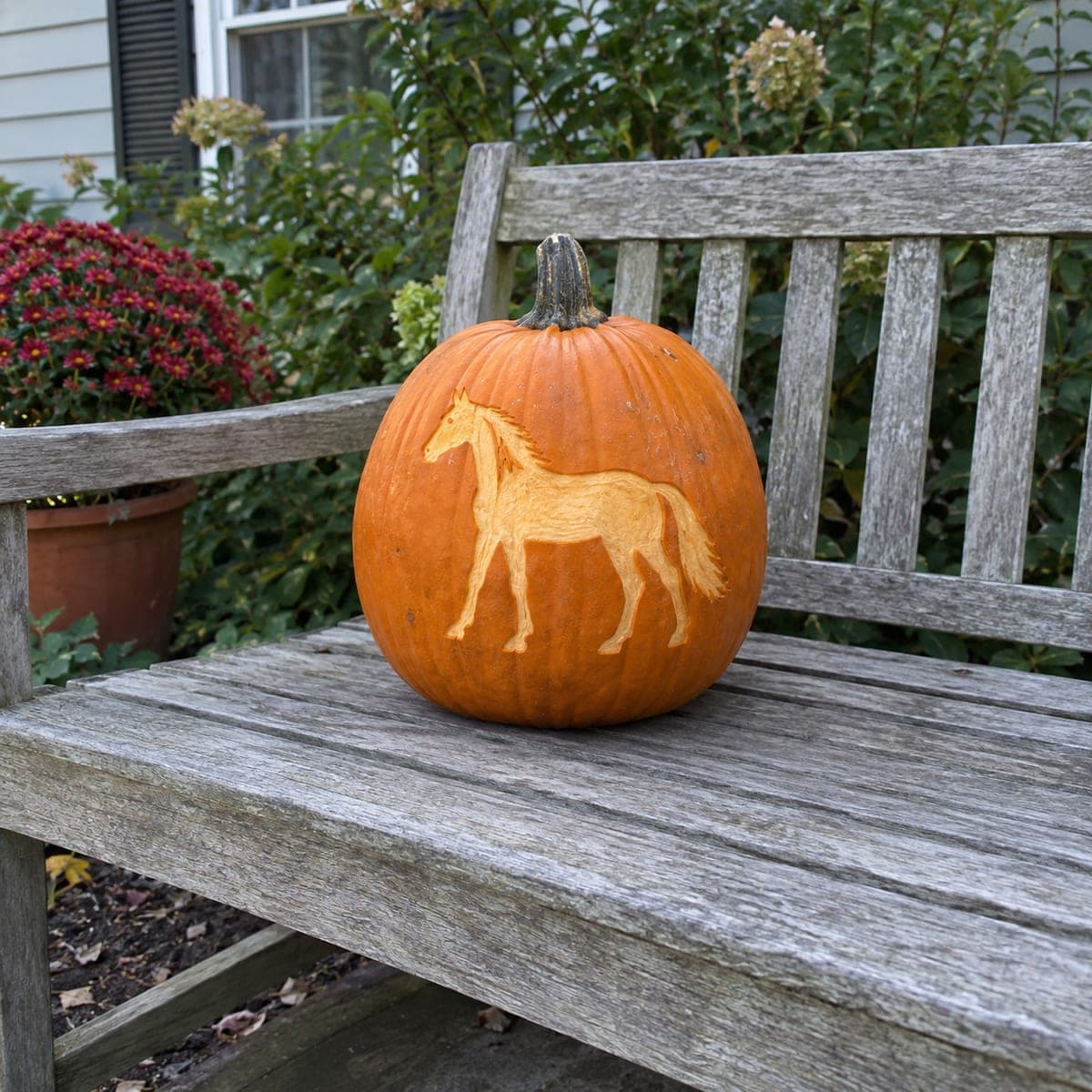 Trotting Horse Etched Pumpkin Carving