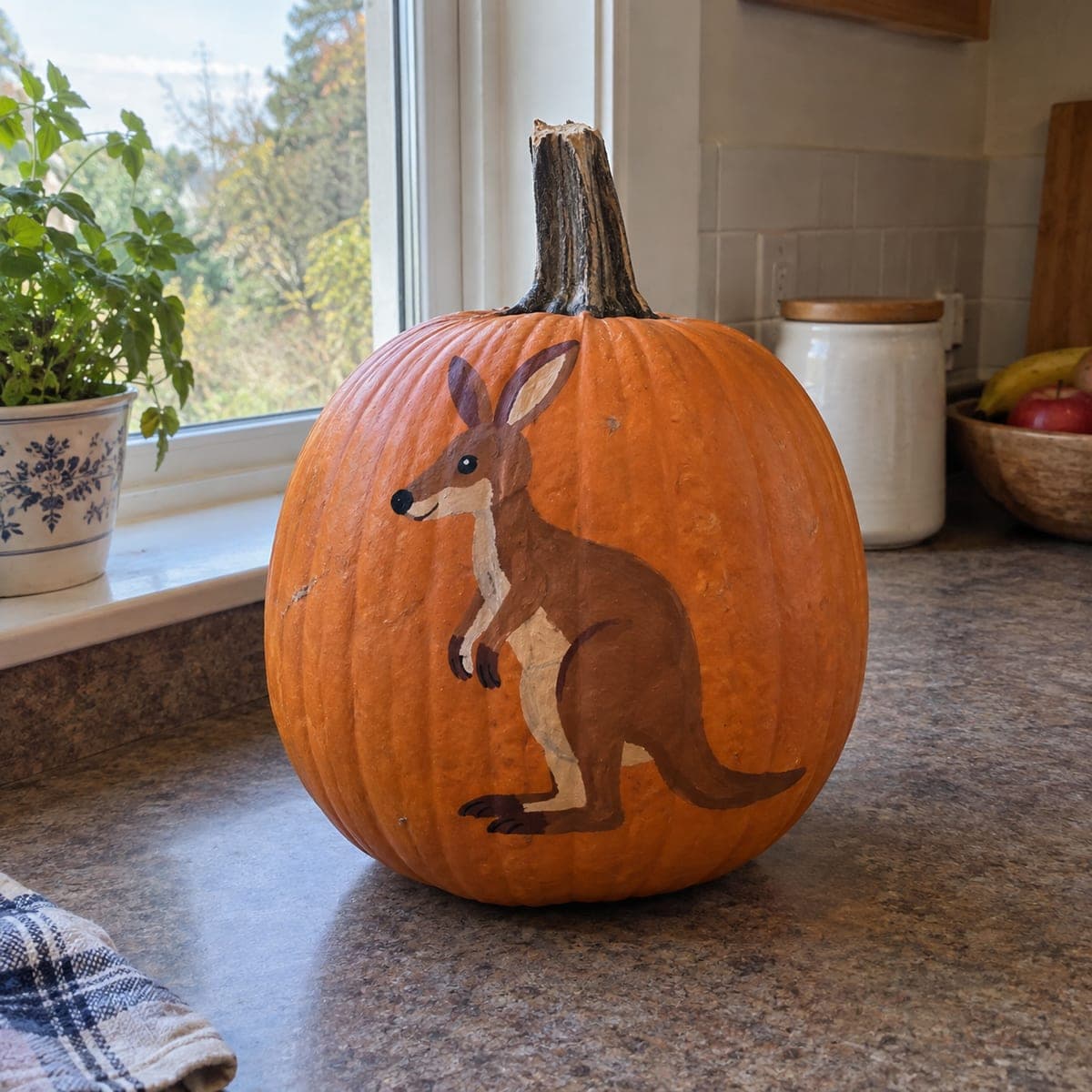 Painted Kangaroo No-Carve Pumpkin Idea