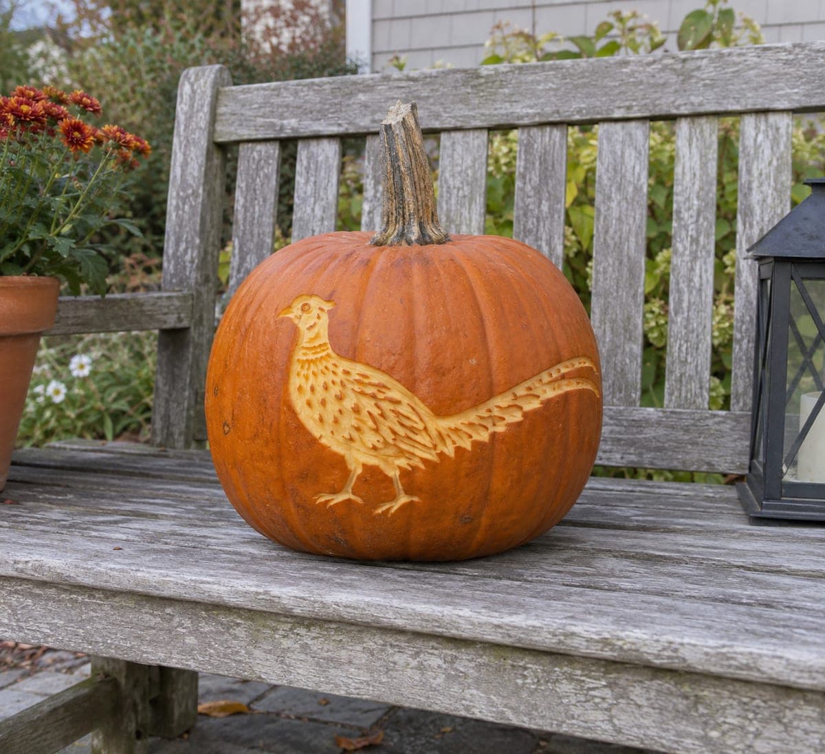 Ring-Necked Pheasant Etched Pumpkin Design