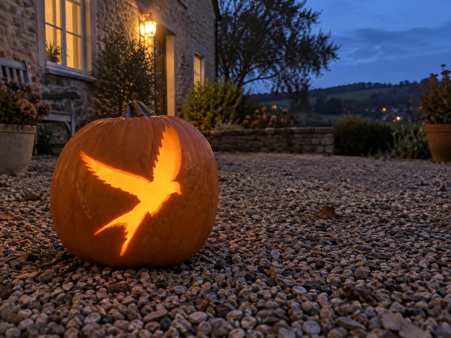 Swift in Flight Pumpkin Stencil